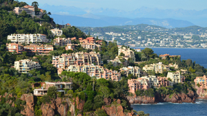Toiletteur Cagnes-sur-Mer